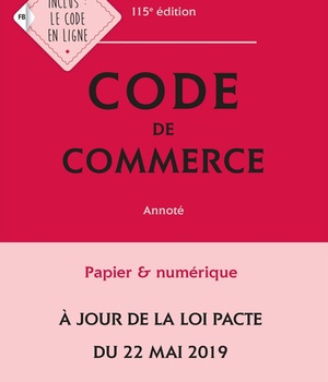 CODE DE COMMERCE 2020, ANNOTE - 115E ED.