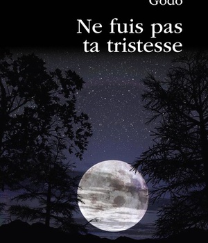 NE FUIS PAS TA TRISTESSE
