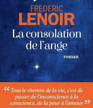 LA CONSOLATION DE L'ANGE
