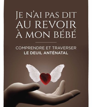 JE N'AI PAS DIT AU REVOIR A MON BEBE - COMPRENDRE ET TRAVERSER LE DEUIL ANTENATAL