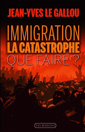 IMMIGRATION : LA CATASTROPHE - QUE FAIRE?