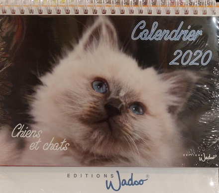 CALENDRIER 2020 CHIENS ET CHATS ( NDSP DPTS )