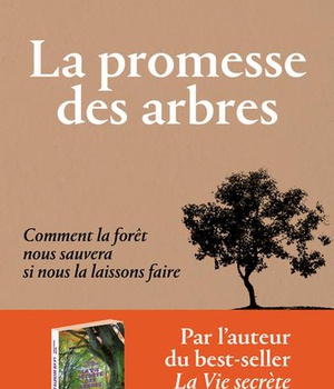 LA PROMESSE DES ARBRES - COMMENT LA FORET NOUS SAUVERA SI NOUS LA LAISSONS FAIRE