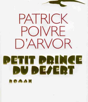 PETIT PRINCE DU DESERT