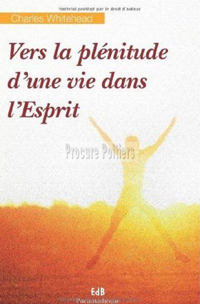 VERS LA PLENITUDE DUNE VIE DANS LESPRIT - REFLEXIONS SPIRITUELLES SUR LA PERSONNE DE LESPRIT SAINT E