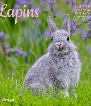 CALENDRIER LAPINS 2025
