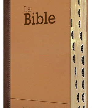 BIBLE SEGOND 21 COMPACTE (PREMIUM STYLE) - COUVERTURE SEMI-RIGIDE, DUO CUIR PRALINE-CHOCOLAT, TRANCH
