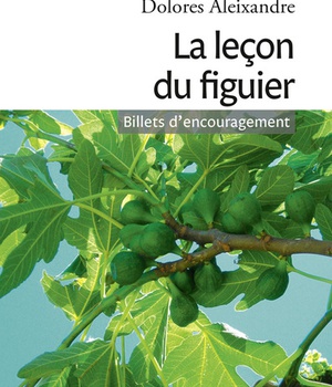 LA LECON DU FIGUIER