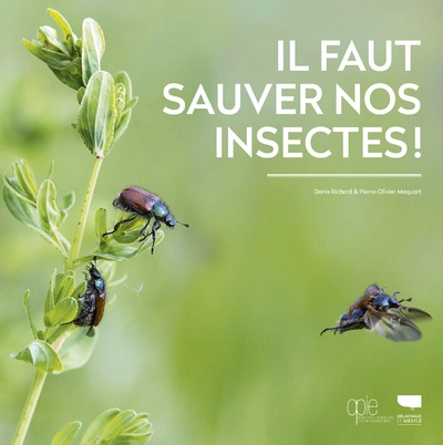 IL FAUT SAUVER NOS INSECTES