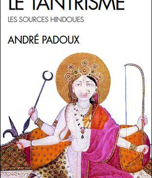 COMPRENDRE LE TANTRISME (ESPACES LIBRES - SPIRITUALITES VIVANTES)
