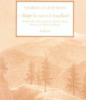 MALGRE LA NUIT ET LE BROUILLARD
