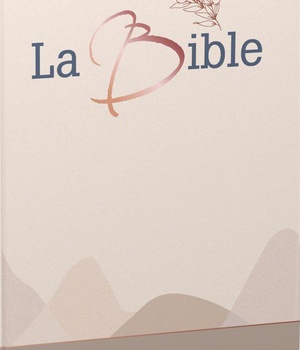 BIBLE SEGOND 21, GROS CARACTERES, RIGIDE TOILEE MATELASSEE - LA MAISON DE LA BIBLE X SOEUR-CO