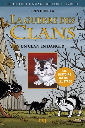 ROMANS CONTES - LA GUERRE DES CLANS CYCLE II - TOME 2 UN CLAN EN DANGER - VERSION ILLUSTREE - VOL02