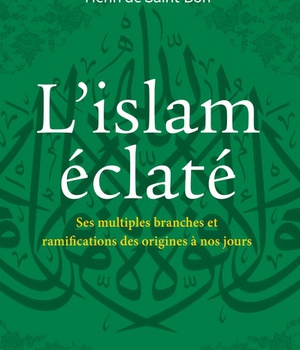 L'ISLAM ECLATE - SES MULTIPLES BRANCHES ET RAMIFICATIONS DES ORIGINES A NOS JOURS