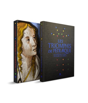 LES TRIOMPHES DE PETRARQUE ILLUSTRES PAR LE VITRAIL DE L'AUBE AU XVIE SIECLE