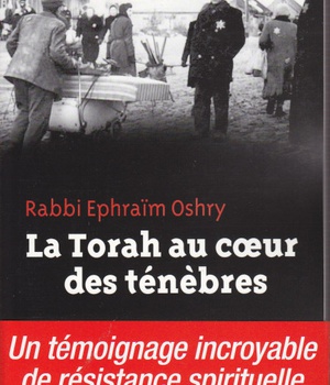 LA TORAH AU COEUR DES TENEBRES