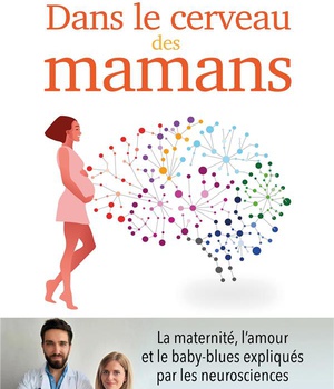 DANS LE CERVEAU DES MAMANS - LA MATERNITE, L'AMOUR ET LE BABY-BLUES EXPLIQUES PAR LES NEUROSCIENCES