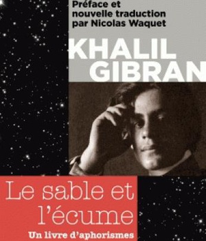 LE SABLE ET L'ECUME - UN LIVRE D'APHORISMES