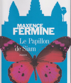 LE PAPILLON DE SIAM
