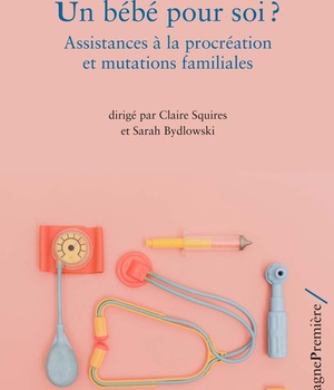 UN BEBE POUR SOI ? - ASSISTANCES A LA PROCREATION ET MUTATIONS FAMILIALES
