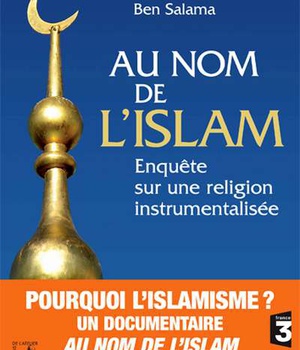 AU NOM DE L'ISLAM -ENQUETE SUR UNE RELIGION INSTRUMENTALISEE