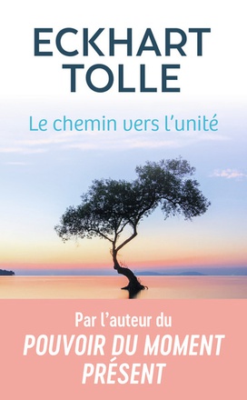 LE CHEMIN VERS L'UNITE