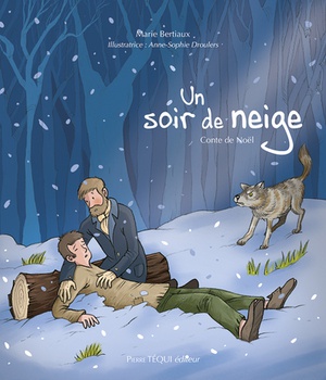 UN SOIR DE NEIGE - CONTE DE NOEL - EDITION ILLUSTREE