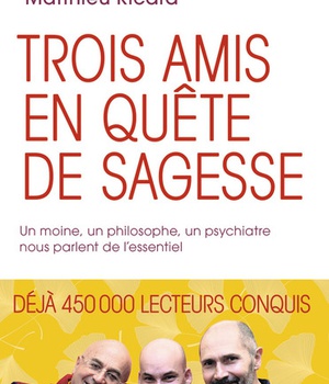TROIS AMIS EN QUETE DE SAGESSE - UN MOINE, UN PHILOSOPHE, UN PSYCHIATRE NOUS PARLENT DE L'ESSENTIEL