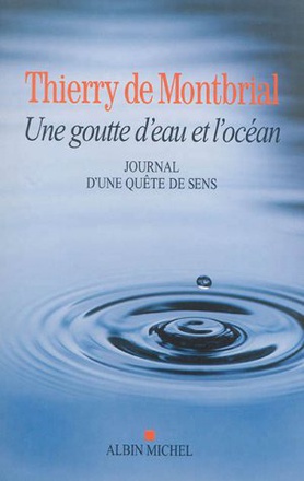 UNE GOUTTE D'EAU ET L'OCEAN - JOURNAL D'UNE QUETE DE SENS 1977-2014
