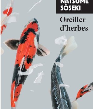 OREILLER D'HERBES