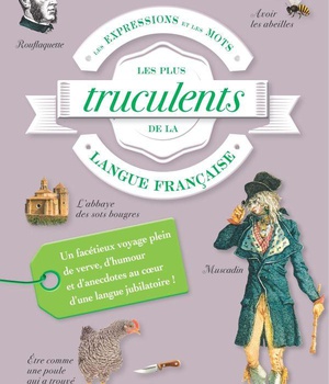 DICTIONNAIRE INSOLITE DU FRANCAIS TRUCULENT