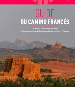 COMPOSTELLE GUIDE DU CAMINO FRANCES - DE SAINT-JEAN-PIED-DE-PORT A SAINT-JACQUES-DE-COMPOSELLE ET AU