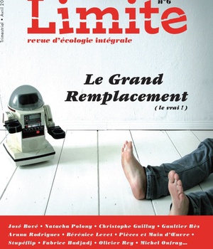 LE GRAND REMPLACEMENT (LE VRAI!) - REVUE LIMITE N 6