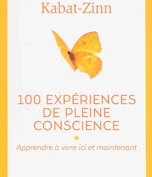 100 EXPERIENCES DE PLEINE CONSCIENCE - APPRENDRE A VIVRE ICI ET MAINTENANT