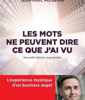 LES MOTS NE PEUVENT DIRE CE QUE J'AI VU - L'EXPERIENCE MYSTIQUE D'UN BUSINESS ANGEL - NOUVELLE EDITI