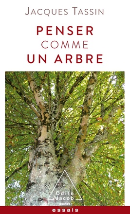 PENSER COMME UN ARBRE