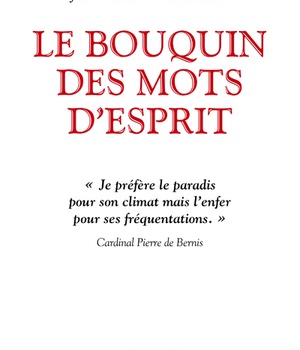 LE BOUQUIN DES MOTS D'ESPRIT