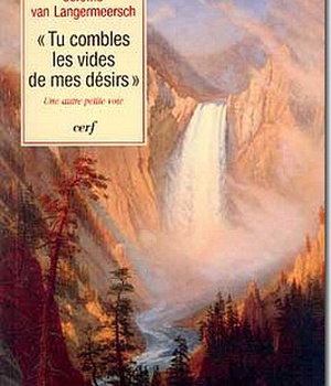TU COMBLES LES VIDES DE MES DESIRS