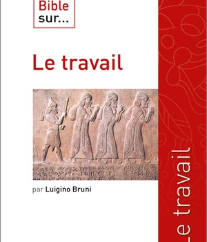 CE QUE DIT LA BIBLE SUR LE TRAVAIL