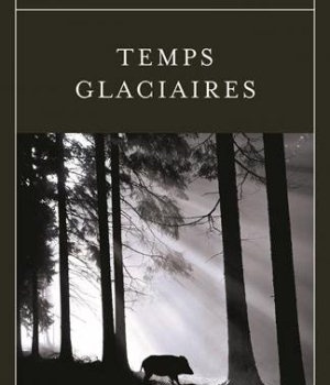 TEMPS GLACIAIRES