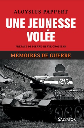UNE JEUNESSE VOLEE. MEMOIRES DE GUERRE T1
