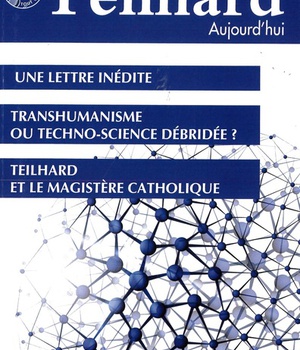 TEILHARD AUJOURD'HUI - T62 - N 62 - TEILHARD AUJOURD'HUI - JUIN 2017 - UNE LETTRE INEDITE - TRANSHUM