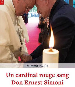 UN CARDINAL ROUGE SANG DON ERNEST SIMONI - RESCAPE DES TRAVAUX FORCES EN ALBANIE