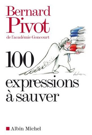 100 EXPRESSIONS A SAUVER