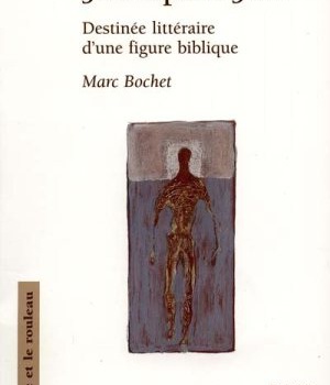 JOB APRES JOB - DESTINEE LITTERAIRE D'UNE FIGURE BIBLIQUE