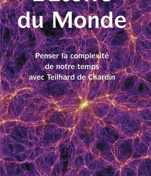 L'ETOFFE DU MONDE - PENSER LA COMPLEXITE DE NOTRE TEMPS AVEC TEILHARD DE CHARDIN