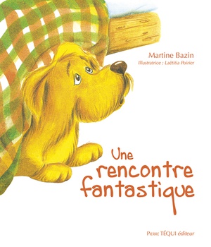 UNE RENCONTRE FANTASTIQUE - EDITION ILLUSTREE