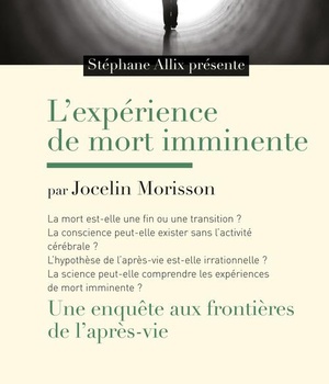 L'EXPERIENCE DE MORT IMMINENTE - UNE ENQUETE AUX FRONTIERES DE L'APRES-VIE