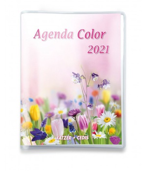 AGENDA COLOR 2021 NDSP