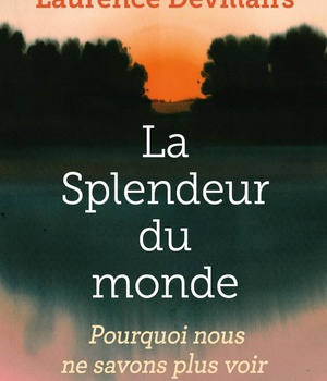LA SPLENDEUR DU MONDE - POURQUOI NOUS NE SAVONS PLUS VOIR
